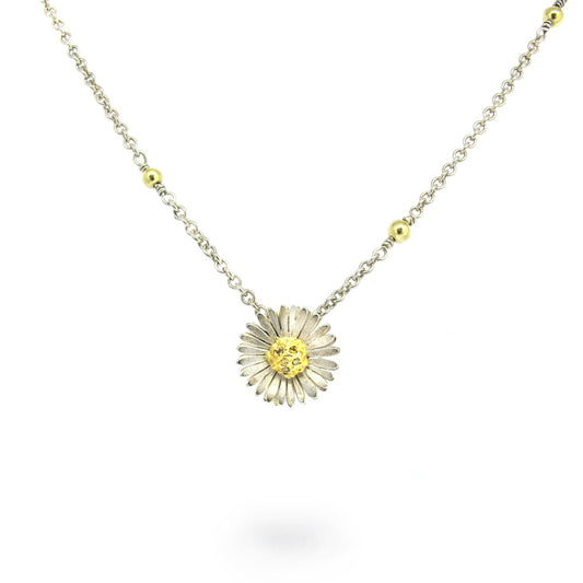 Daisy collier