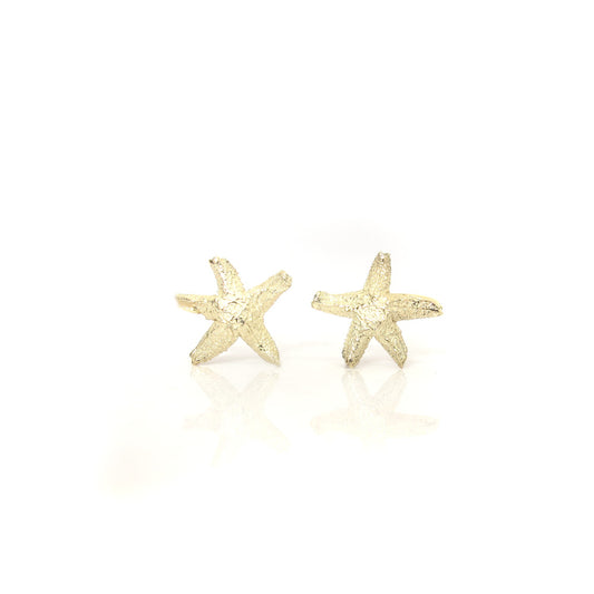 Gouden oorstekers zeester