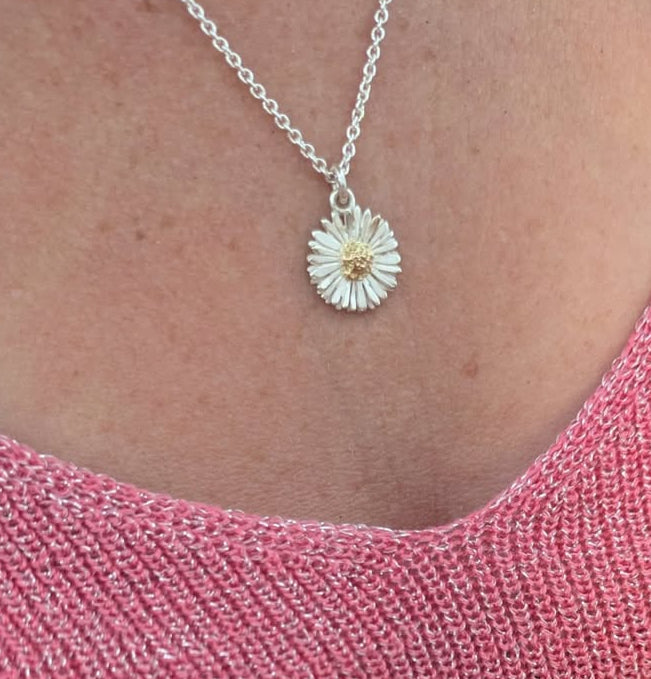 Collier mdeliefje van zilver en goud