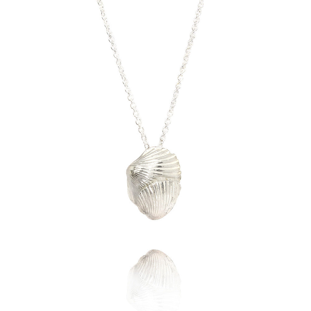 Schelpen hanger inclusief collier