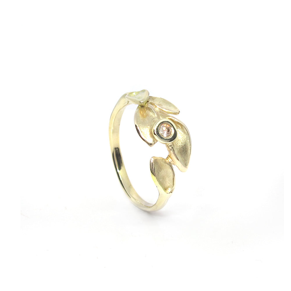 Golden ring leaves smooth with tourmaline pink