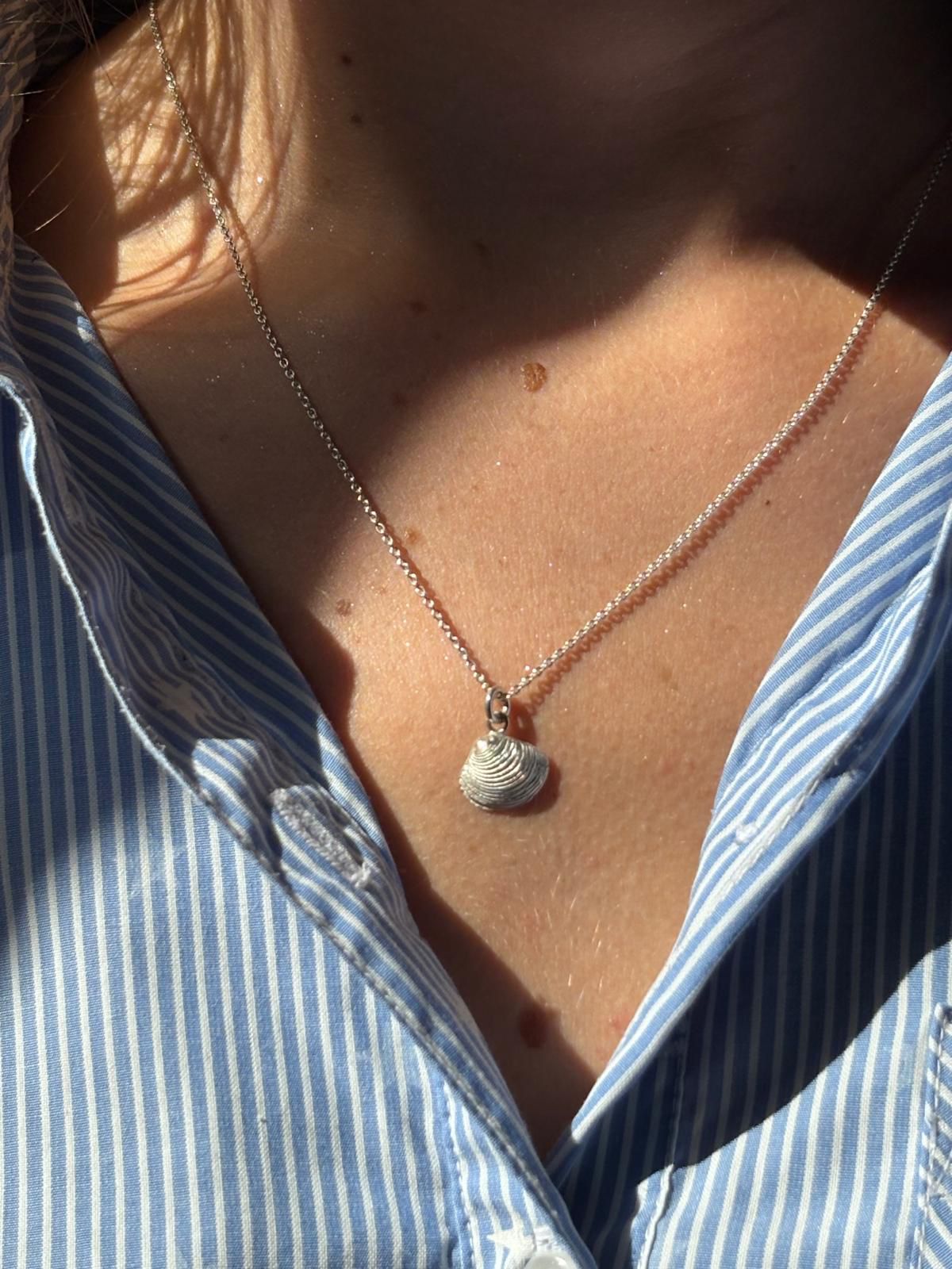 Small Venus shell pendant including pendant
