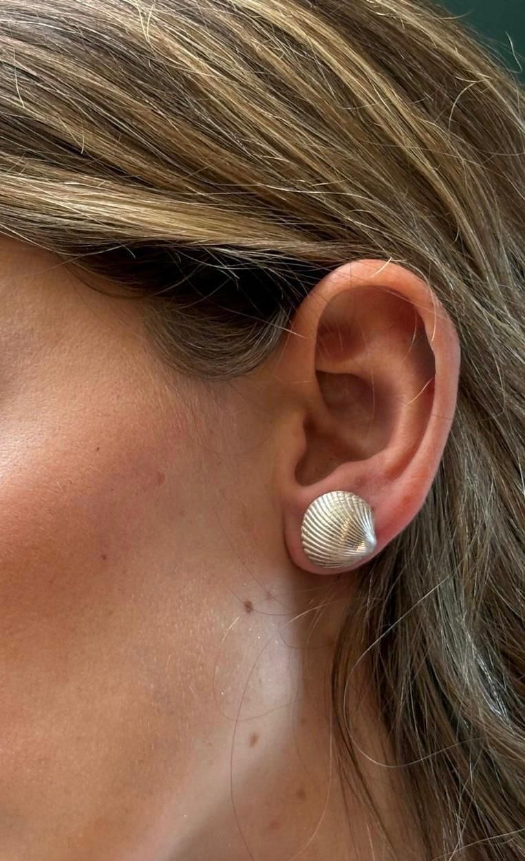 Large shell stud earrings