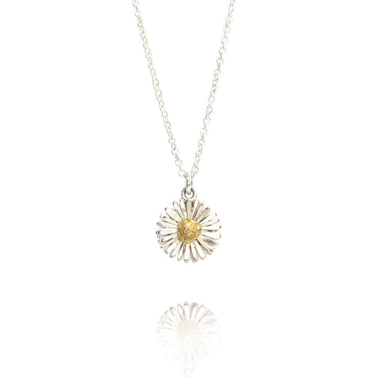 Collier mdeliefje van zilver en goud