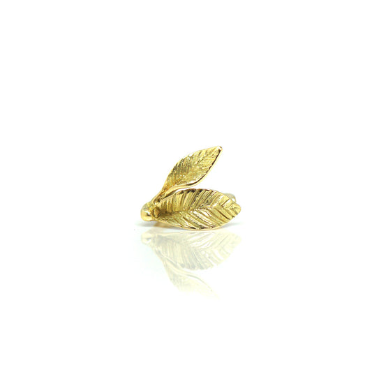 Goldener Ohrclip