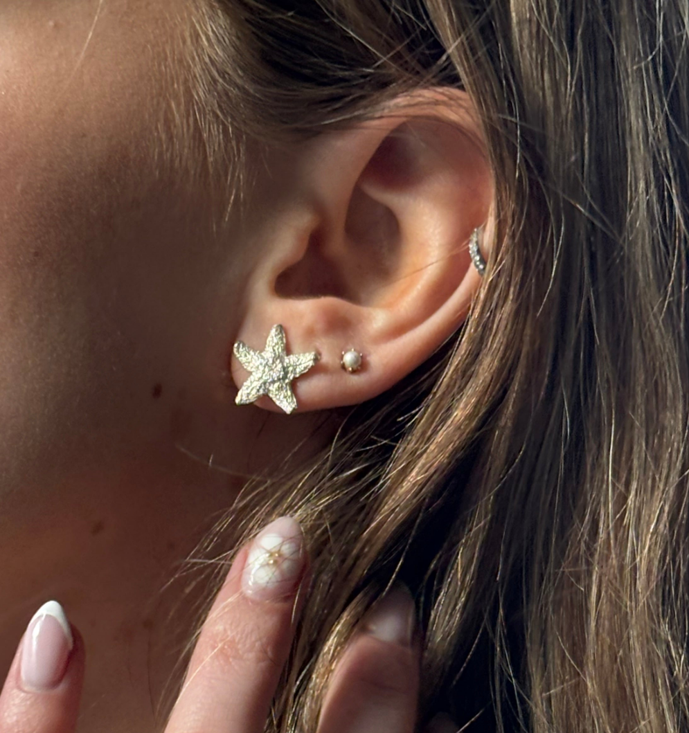 Silver starfish stud earrings