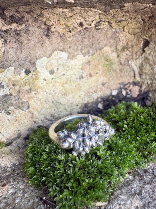 Zilveren ring Dunes’ Kiss