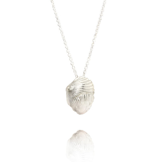 Schelpen hanger inclusief collier