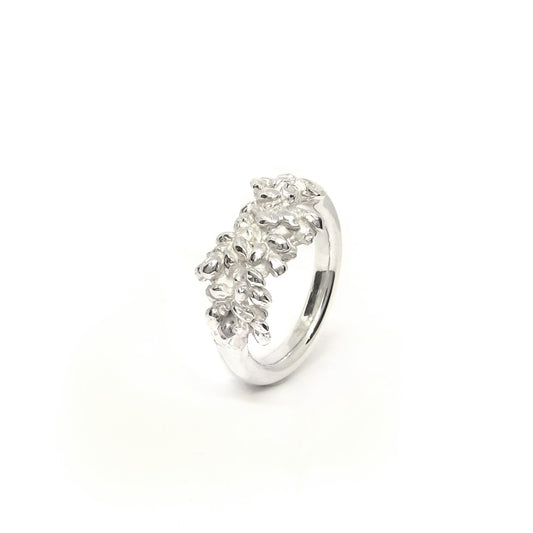 Silberring, Dünenkuss