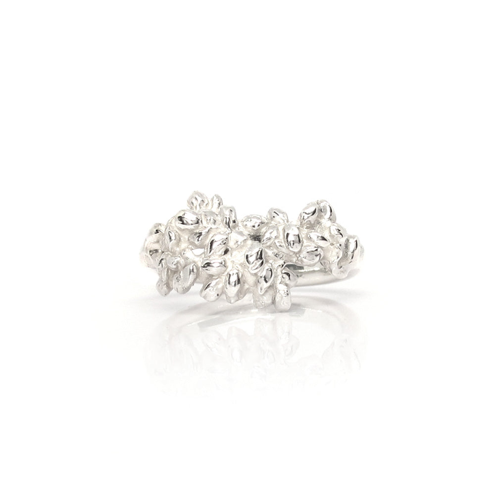 Silberring, Dünenkuss