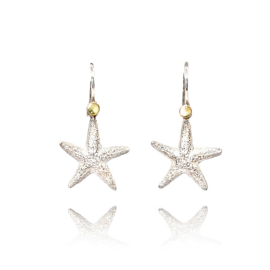 Seestern Ohrringe Silber und Gold