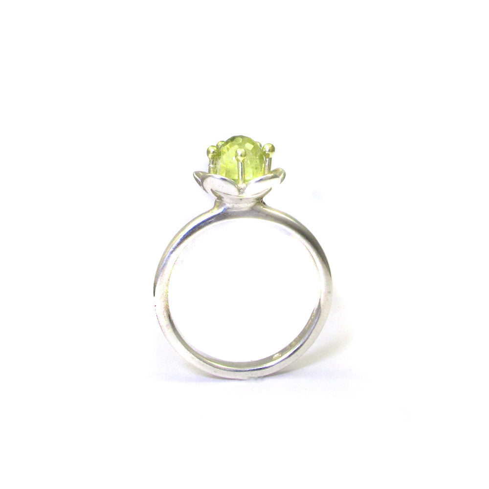 Silber mit Goldring