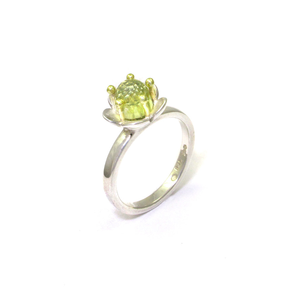 Silber mit Goldring