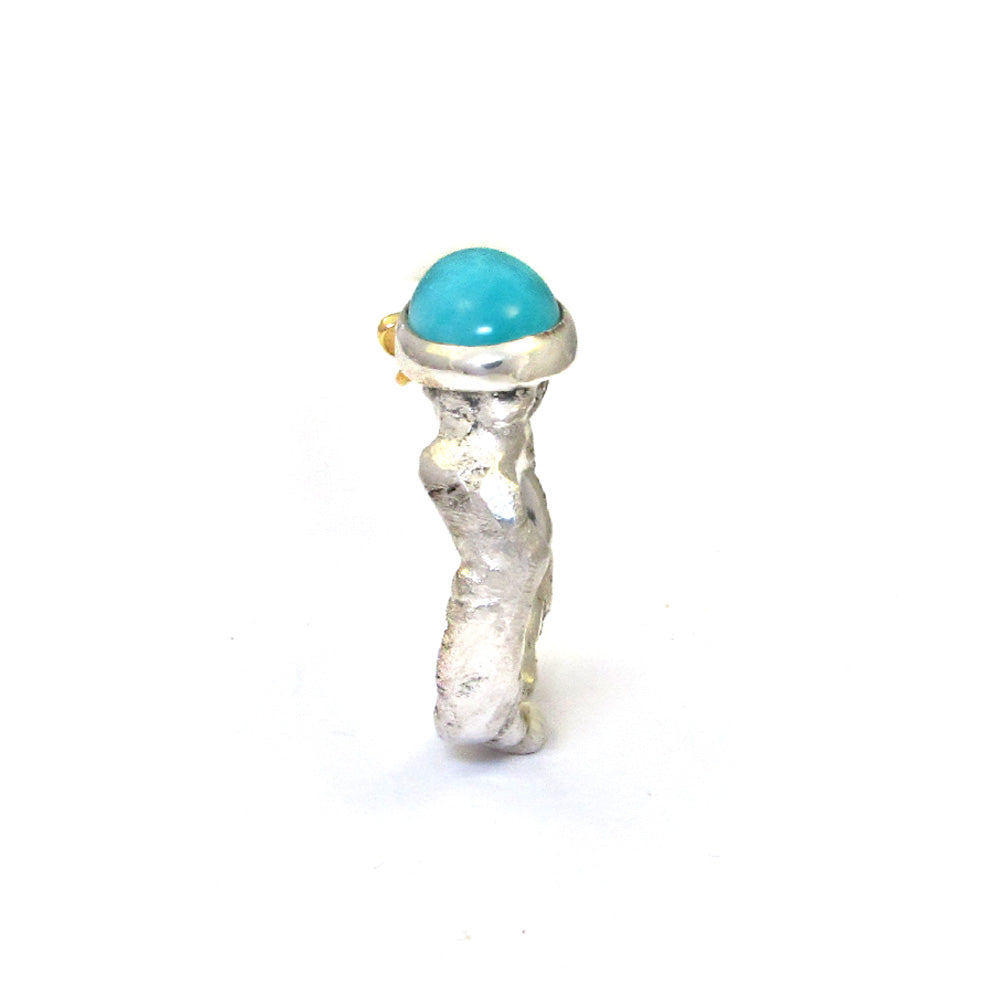 Zilveren gouden ring